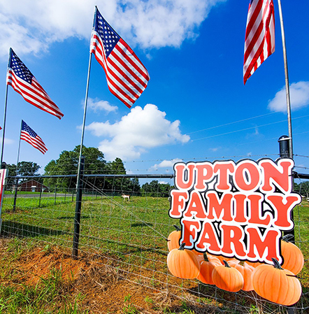 Welcome to Upton Family Farm, Vale NC