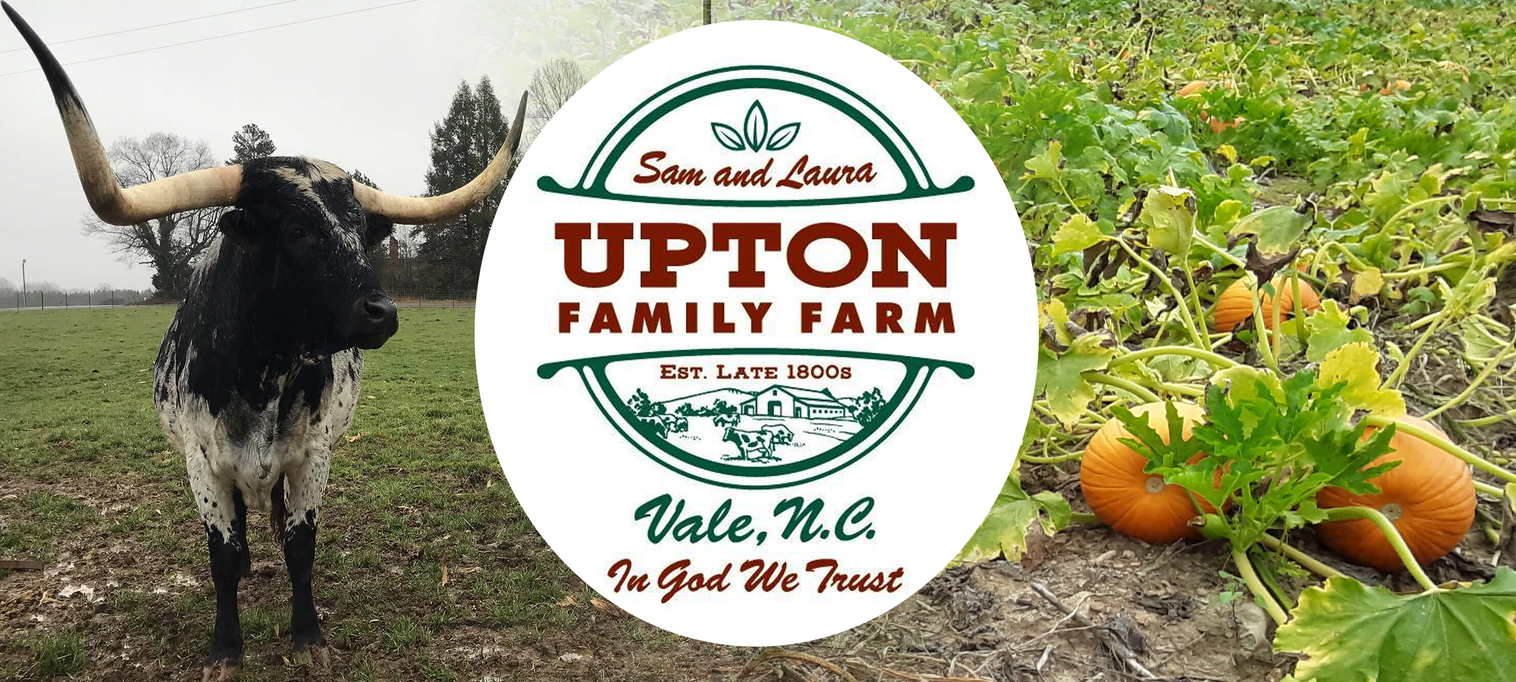 Upton Family Farm