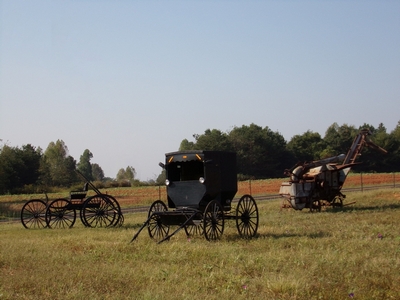 Family Fun at Upton Family Farm