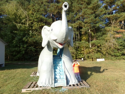 Family Fun at Upton Family Farm